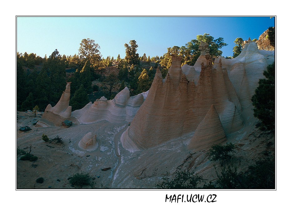 canaria06_05_24 .jpg